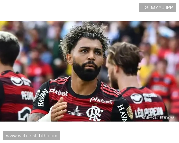 沃尔夫斯堡签下弗拉门戈前锋克莱顿，南美淘金再继续